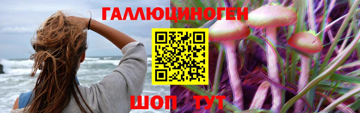 Галлюциногенные грибы GOLDEN TEACHER  Вход с VPN  Кизилюрт 